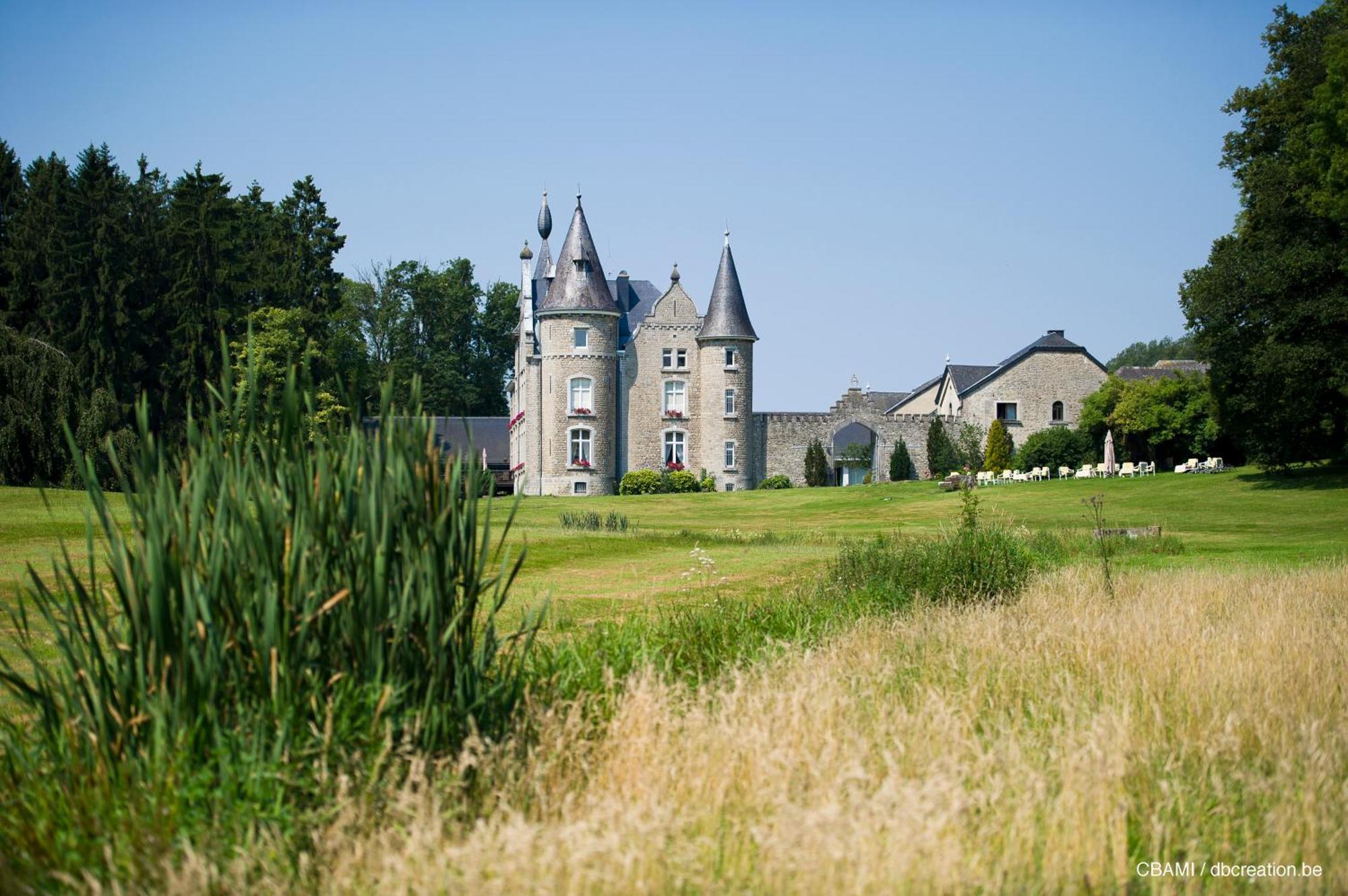 Chateau d'Hassonville Aye Extérieur photo